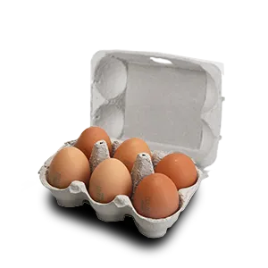 Egg Coding
